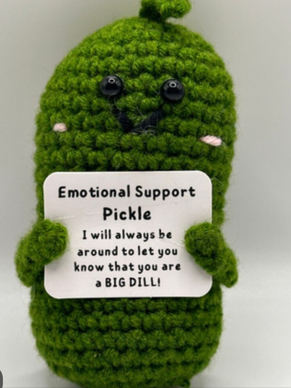 Emotional Support Pickle Plush Toy - Green Nwot